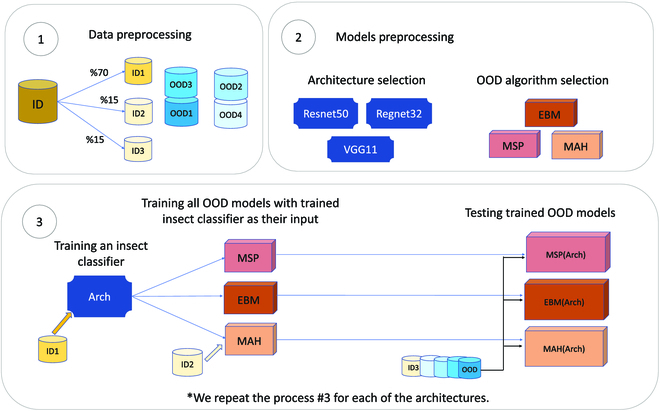 Out-of-Distribution Detection Algorithms for Robust Insect Classification.