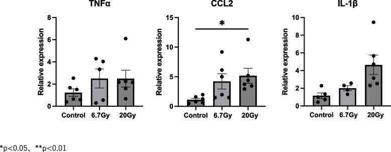 Swallowing-related muscle inflammation and fibrosis induced by a single dose of radiation exposure in mice.