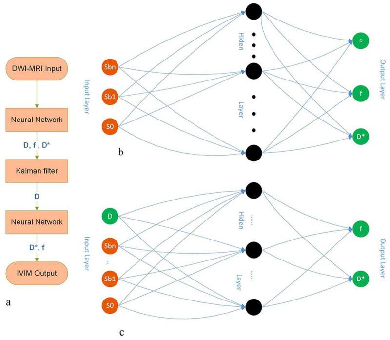 Improving Accuracy of Intravoxel Incoherent Motion Reconstruction using Kalman Filter in Combination with Neural Networks: A Simulation Study.