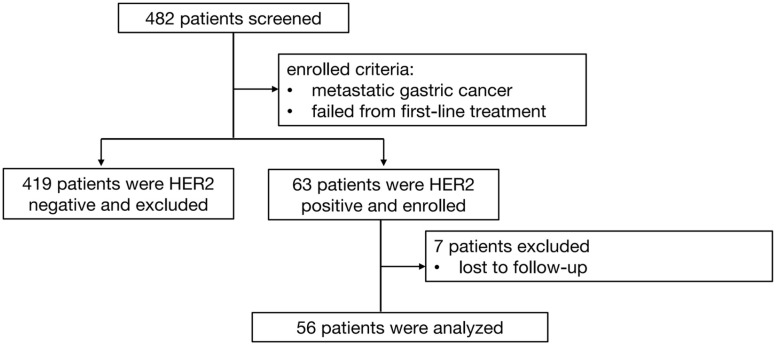 In era of immunotherapy: the value of trastuzumab beyond progression in patients with trastuzumab-resistant HER2-positive advanced or metastatic gastric cancer.