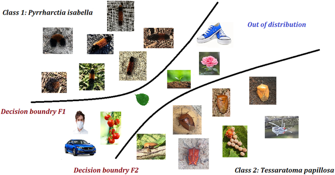 Out-of-Distribution Detection Algorithms for Robust Insect Classification.