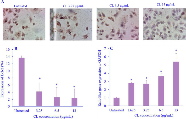 <i>Curcuma longa</i> extract inhibits migration by reducing MMP-9 and Rac-1 expression in highly metastatic breast cancer cells.
