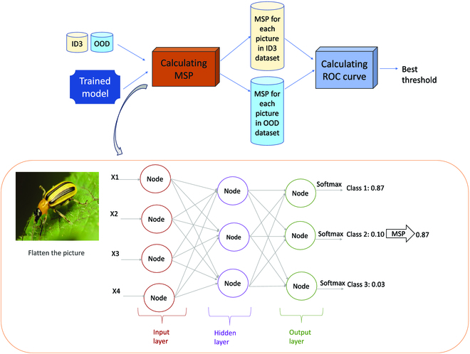 Out-of-Distribution Detection Algorithms for Robust Insect Classification.