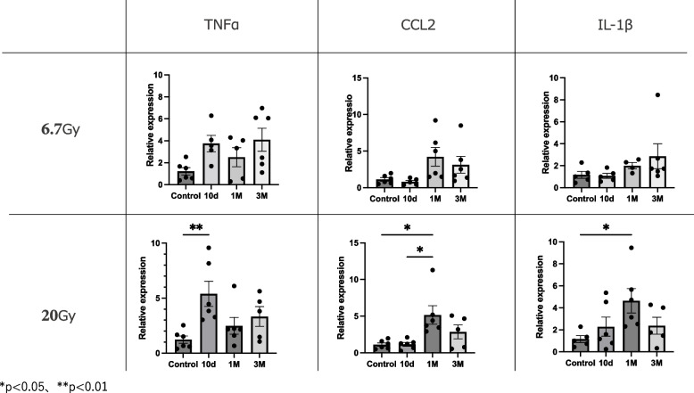 Swallowing-related muscle inflammation and fibrosis induced by a single dose of radiation exposure in mice.