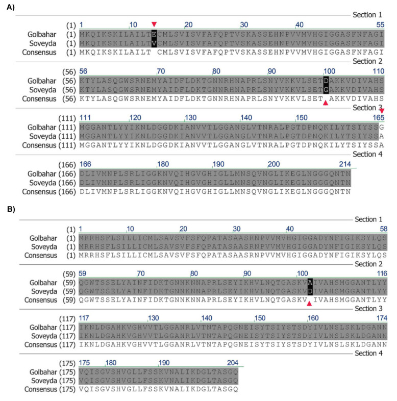 Molecular Cloning of the Extracellular Lipases of <i>Bacillus Amyloliquefaciens</i> Isolated from Agrifood Wastes.