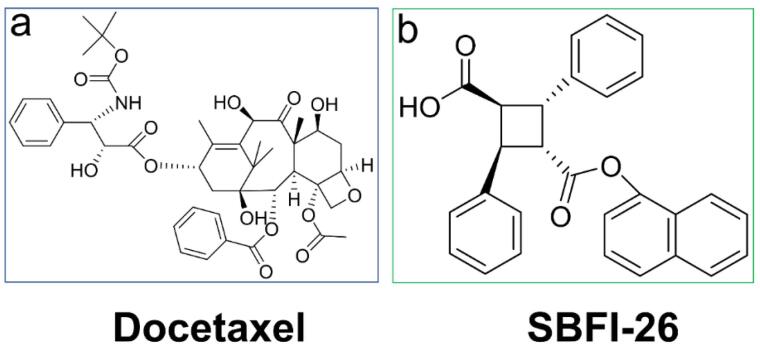 SBFI-26 enhances apoptosis in docetaxel-treated triple-negative breast cancer cells by increasing ROS levels.