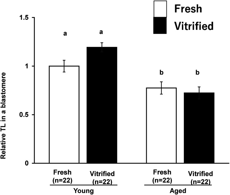 Effect of paternal aging and vitrification on mitochondrial DNA copy number and telomere length of mouse blastocysts.