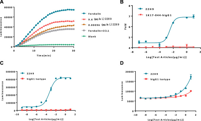 Sensing antibody functions with a novel CCR8-responsive engineered cell.