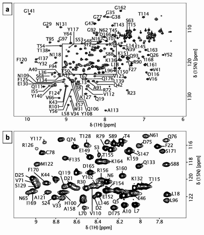 Backbone chemical shift and secondary structure assignments for mouse siderocalin