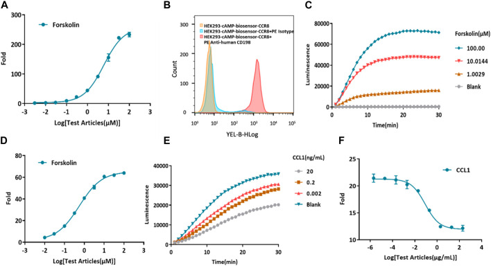 Sensing antibody functions with a novel CCR8-responsive engineered cell.