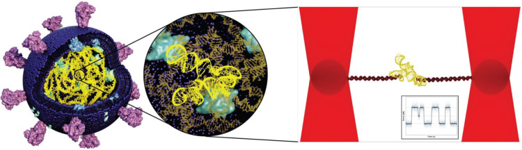 Abstract Image