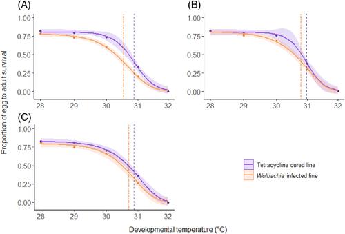 Wolbachia infection negatively impacts Drosophila simulans heat tolerance in a strain- and trait-specific manner