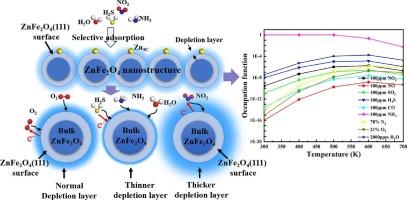 Selective adsorption and sensing mechanism of ZnFe2O4 (111) surface towards toxic gases:A first-principles study