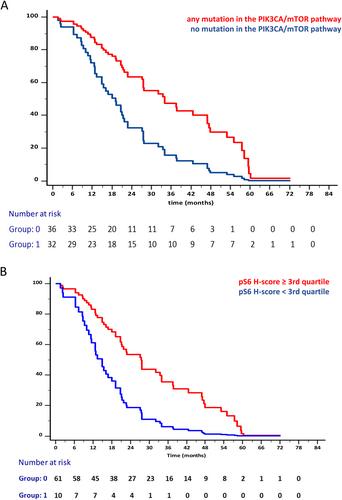 The prognosis of patients treated with everolimus for advanced ER-positive, HER2-negative breast cancer is driven by molecular features