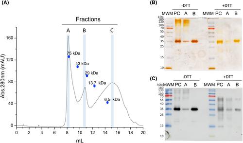 Expression and functional characterization of chimeric recombinant bovine follicle-stimulating hormone produced in Leishmania tarentolae