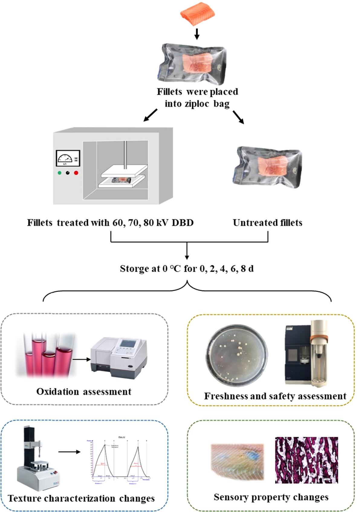 Effect of different voltages of dielectric barrier discharge cold plasma sterilization on the quality of rainbow trout (Oncorhynchus mykiss) during cryopreservation