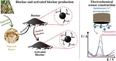 Biochar from sugarcane bagasse: Synthesis, characterization, and application in an electrochemical sensor for copper (II) determination