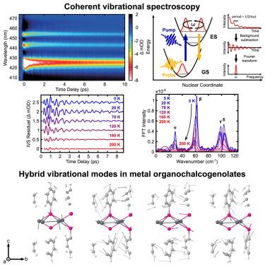 Coherent exciton-lattice dynamics in a 2D metal organochalcogenolate semiconductor