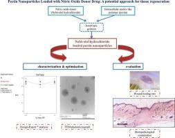 Pectin nanoparticles loaded with nitric oxide donor drug: A potential approach for tissue regeneration