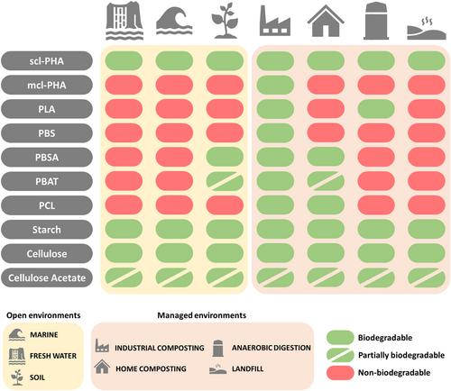 Can bioplastics always offer a truly sustainable alternative to fossil-based plastics?