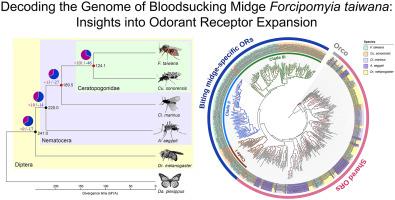 Decoding the genome of bloodsucking midge Forcipomyia taiwana (Diptera: Ceratopogonidae): Insights into odorant receptor expansion