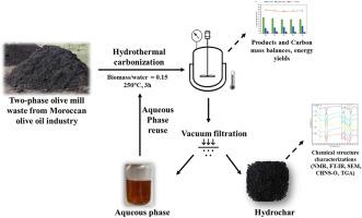 Hydrothermal carbonization of two-phase olive mill waste (alperujo): Effect of aqueous phase recycling