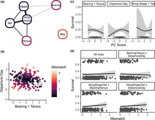 Reduced hybrid survival in a migratory divide between songbirds