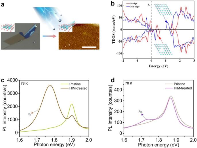 Room temperature photosensitive ferromagnetic semiconductor using MoS2