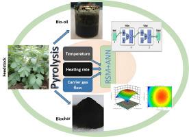 Pyrolysis parameter based optimization study using response surface methodology and machine learning for potato stalk