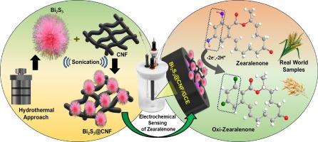 Synthesis and characterization of Bi2S3-embedded carbon nanofibers as a novel electrochemical biosensor for the detection of mycotoxin zearalenone in food crops