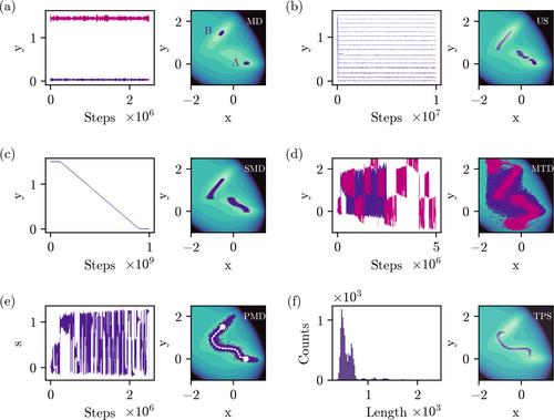 Enhanced sampling strategies for molecular simulation of DNA