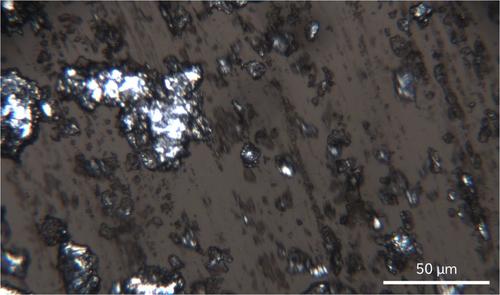 Understanding mechanisms behind the oily mouthcoating perception of pure vegetable oils using tribology