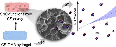 Nitric oxide-releasing photocrosslinked chitosan cryogels