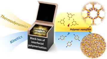 Thermodynamic and kinetic understanding for managing the controllability of interfacial polymerization