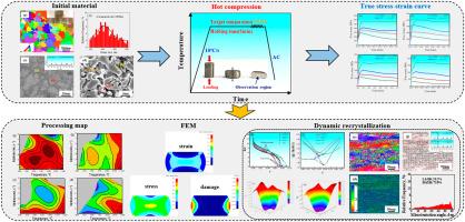 Hot deformation behavior and microstructure evolution of a novel Mn-containing HEA