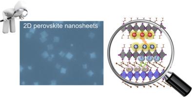 Understand two-dimensional perovskite nanosheets from individual and collective perspectives