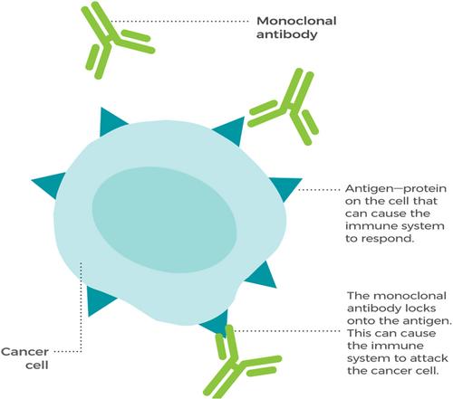 Cancer treatment with biosimilar drugs: A review