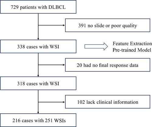 Prediction of immunochemotherapy response for diffuse large B-cell lymphoma using artificial intelligence digital pathology