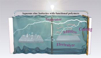 Polymer-adjusted zinc anode towards high-performance aqueous zinc ion batteries