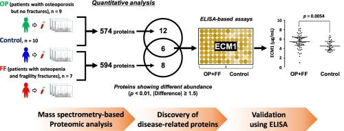 Use of data-independent acquisition mass spectrometry to identify an objective serum indicator of the need for osteoporotic therapeutic intervention