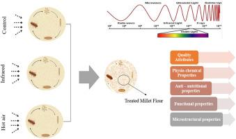 Hot air and infrared heating methods as alternative control methods against Tribolium castaneum (Herbst.) and their effect on the physiochemical properties of finger millet (Eleusine corocana) flour