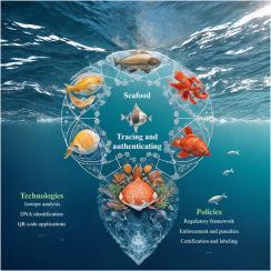 Navigating the depths of seafood authentication: Technologies, regulations, and future prospects