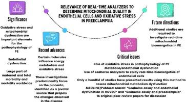 Relevance of real-time analyzers to determine mitochondrial quality in endothelial cells and oxidative stress in preeclampsia