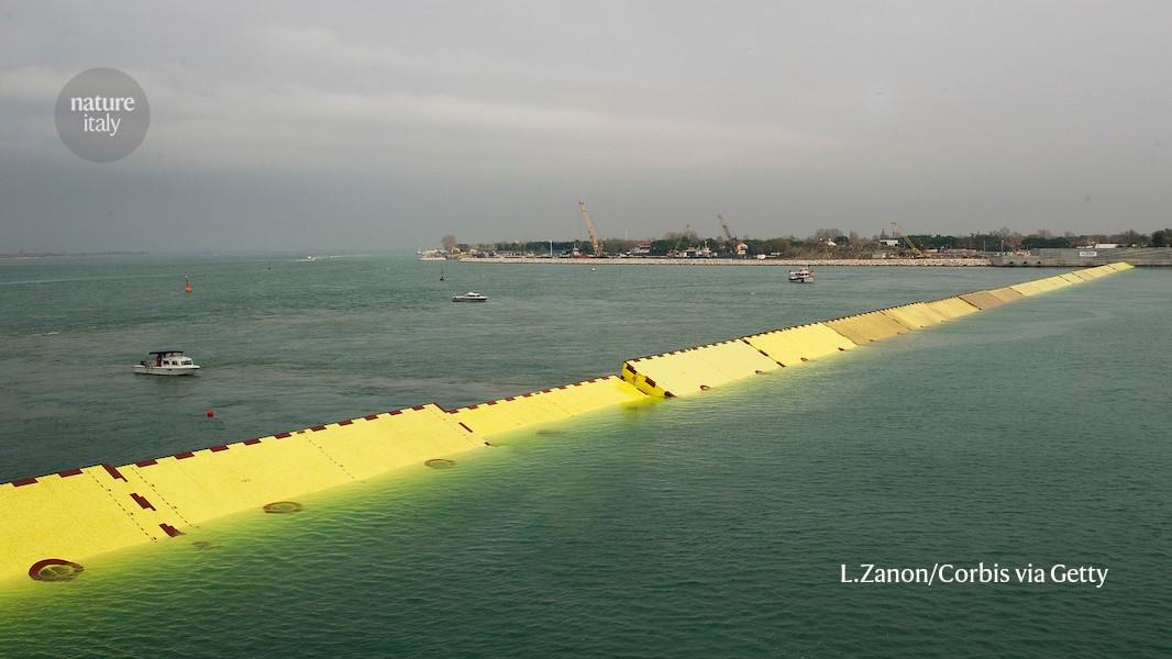 Venice’s flood barriers are working overtime. How will they change the lagoon?