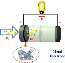 Dimetallic praseodymium-cobalt carbon nanotubes as highly efficient electrocatalyst for oxygen reduction reaction