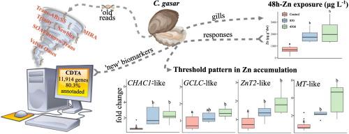 Transcriptomic investigation and biomarker discovery for zinc response in oysters Crassostrea gasar