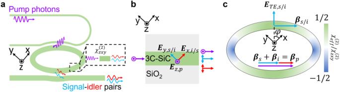 An integrated 3C-silicon carbide-on-insulator photonic platform for nonlinear and quantum light sources