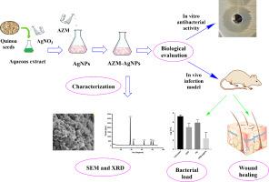 Formulation and evaluation of azithromycin-loaded silver nanoparticles for the treatment of infected wounds