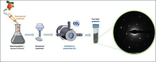 Few-layer graphene production through graphite exfoliation in pressurized CO2 assisted by natural surfactant