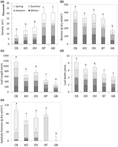 Quantifying direct and indirect linkages between seagrasses, environment and associated macrofauna in a temperate lagoon